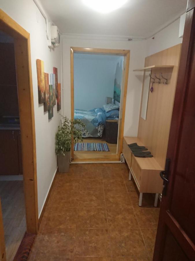 Katy'S Studio Apartment Brasov Exterior photo